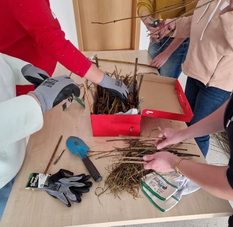 Fachtag Gemeinschaftsgärten