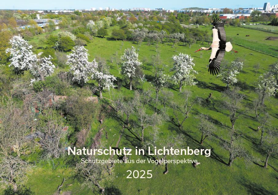 2024_Libg_Jahreskalender.jpg