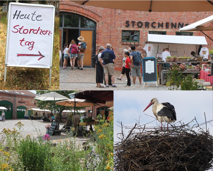 Storchenfest Naturhof Malchow Impressionen