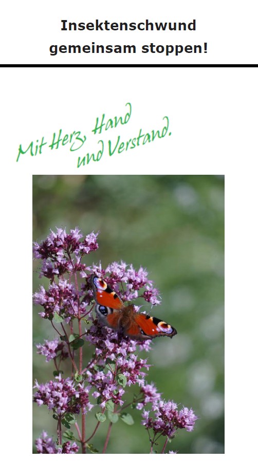 Insekten
