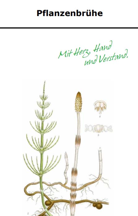 Pflanzenbrühe