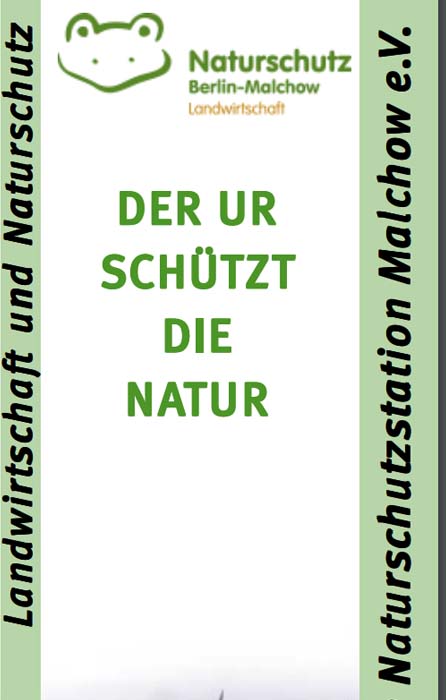 Der Ur schützt die Natur