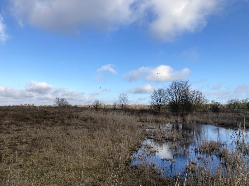 Börnicke bei Bernau Weidefläche Gewässer
