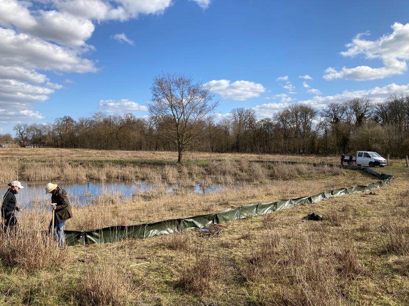 Börnicke bei Bernau Weidefläche Amphibienzaun