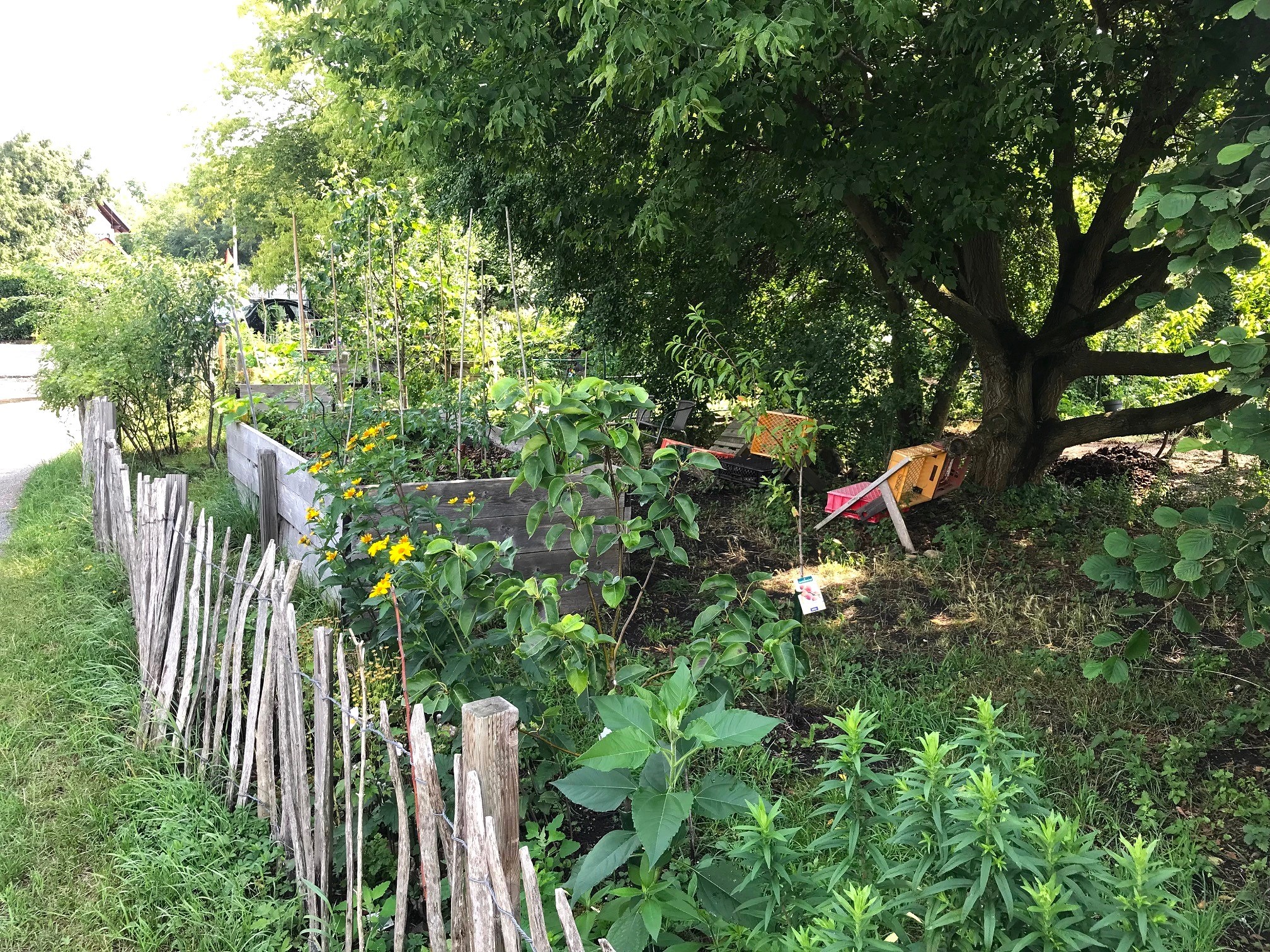 Gemeinschaftsgarten Biesdorf