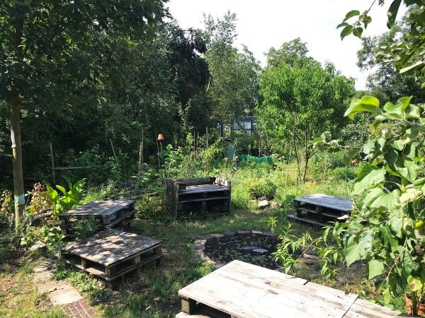 Gemeinschaftsgarten Biesdorf