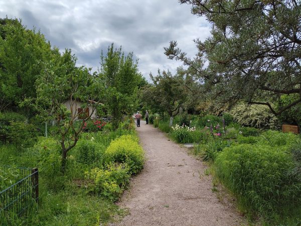 KSGGMH Tour 2 Garten der Begegnung 2
