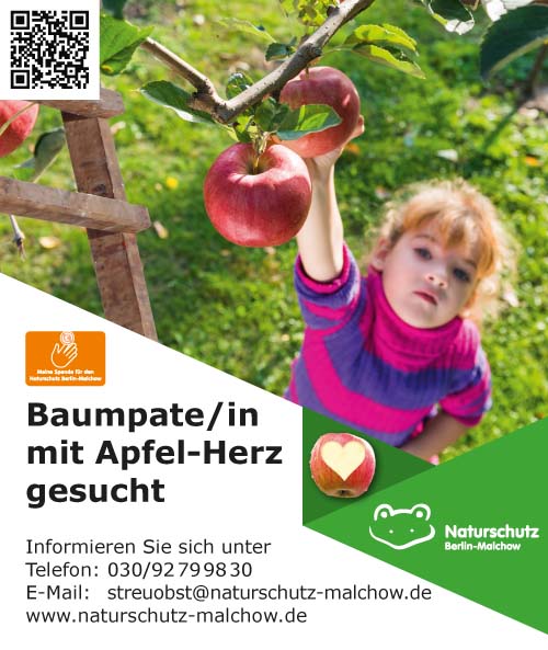 Baumpatenschaft 3