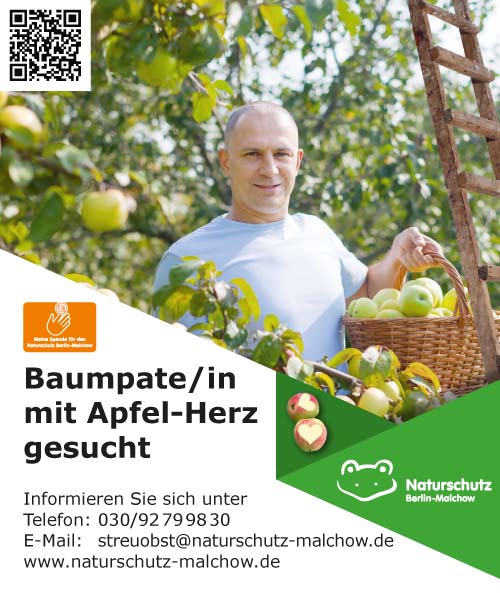 Baumpatenschaft 4