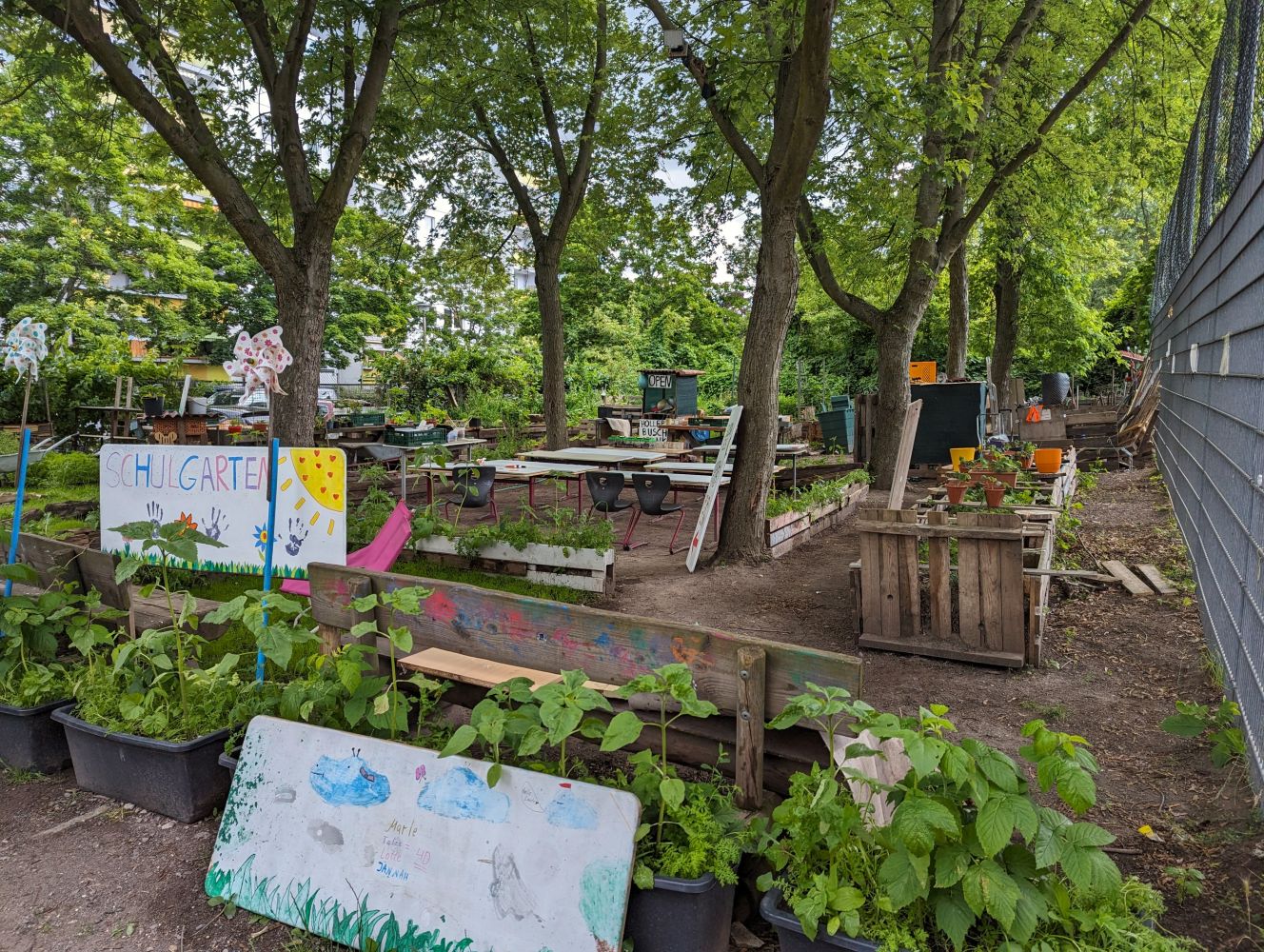 Grundschule am Hollerbusch Schulgarten