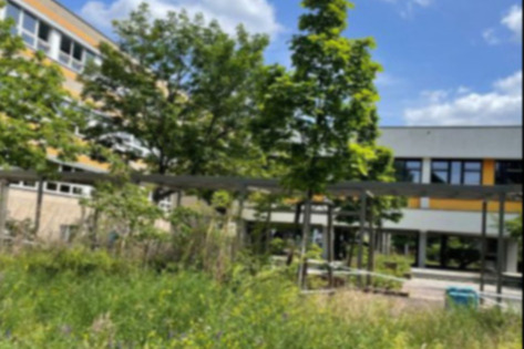 Melanchthon-Gymnasium